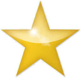 Logo Parkett Star 2023
